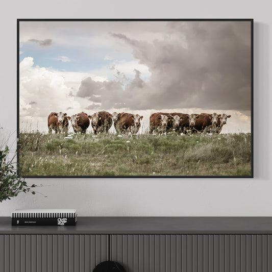 Hereford Cows Canvas Print Wall Art Teri James Photography