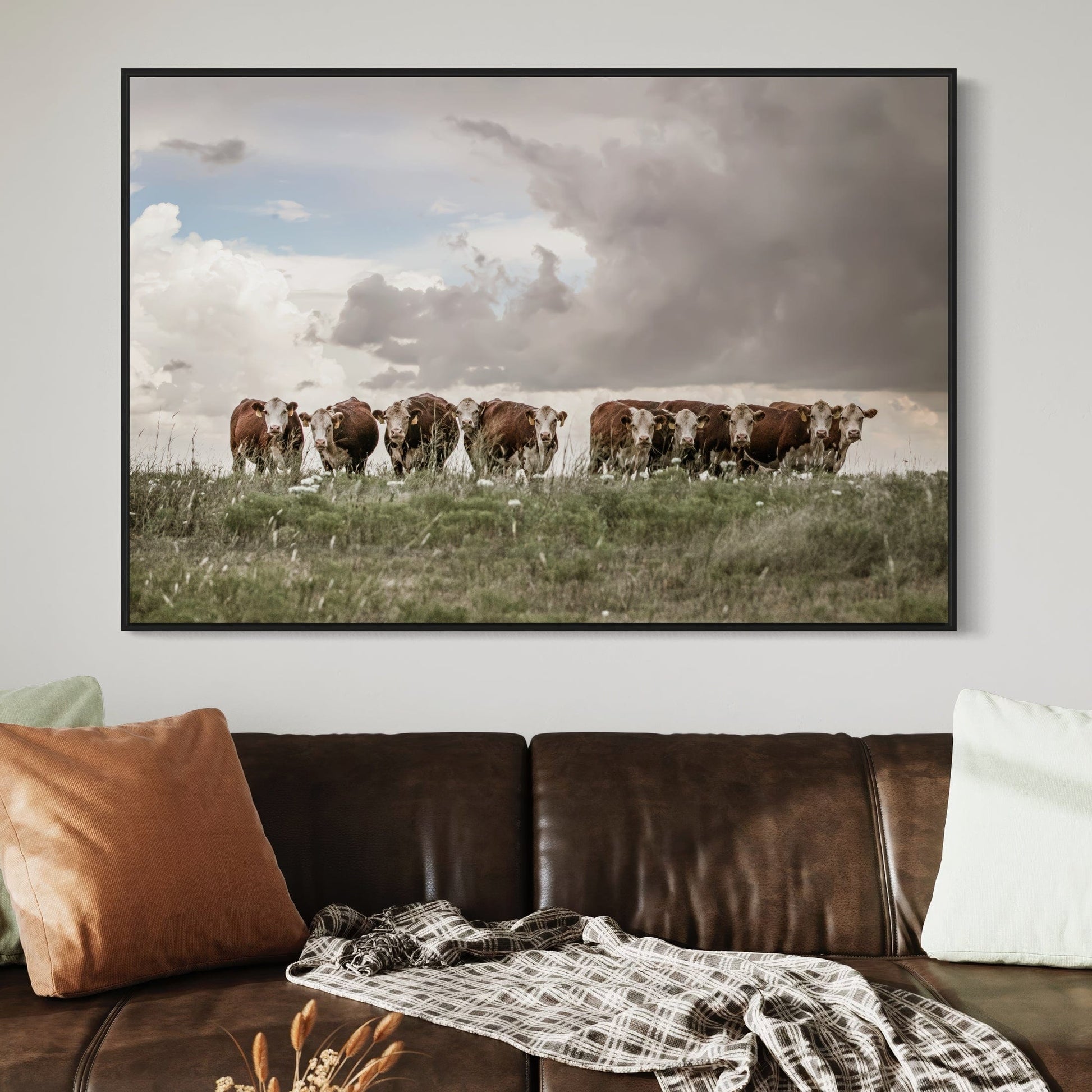 Hereford Cows Canvas Print Wall Art Teri James Photography