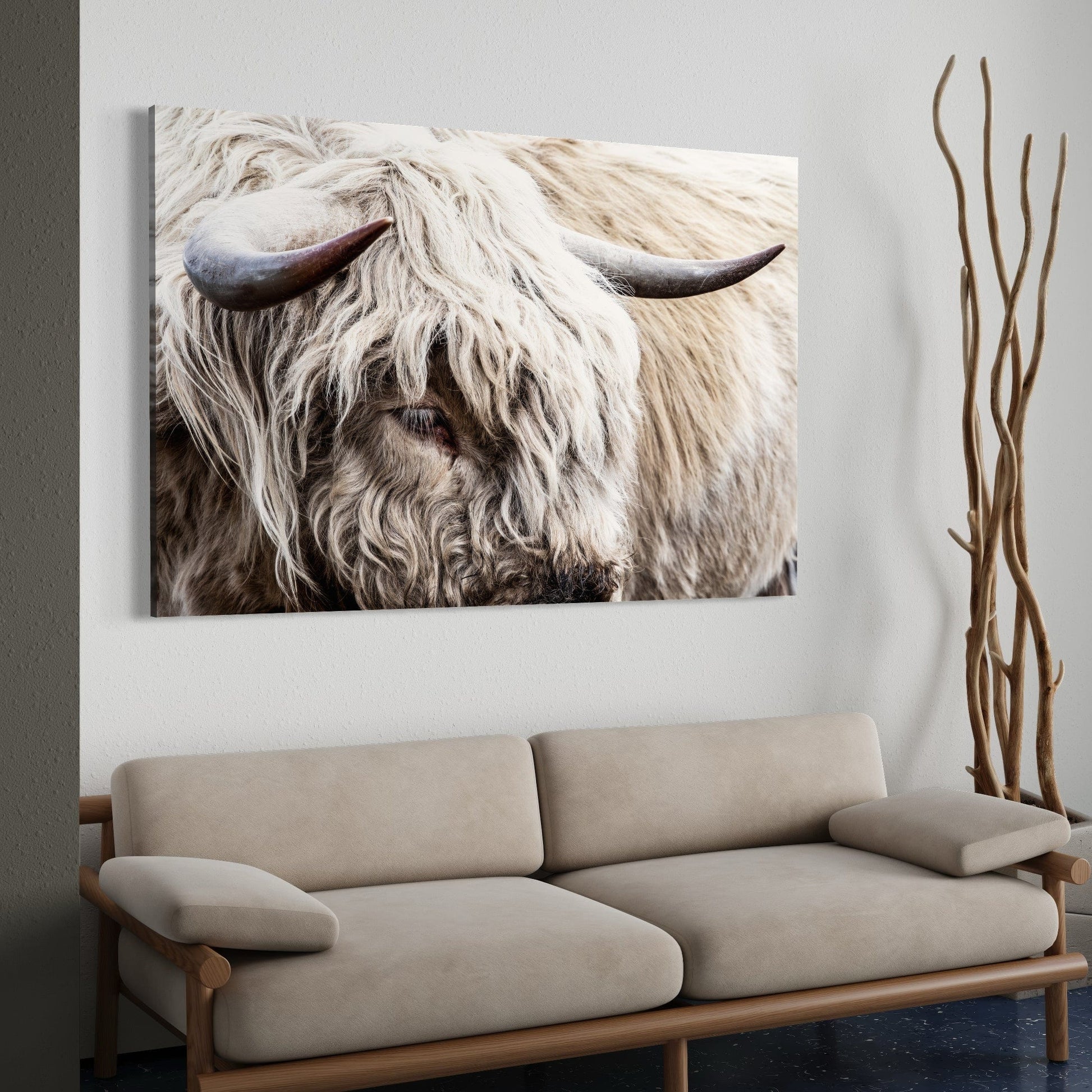 Highland Bull Canvas Print - Modern Cow Art Wall Art Teri James Photography