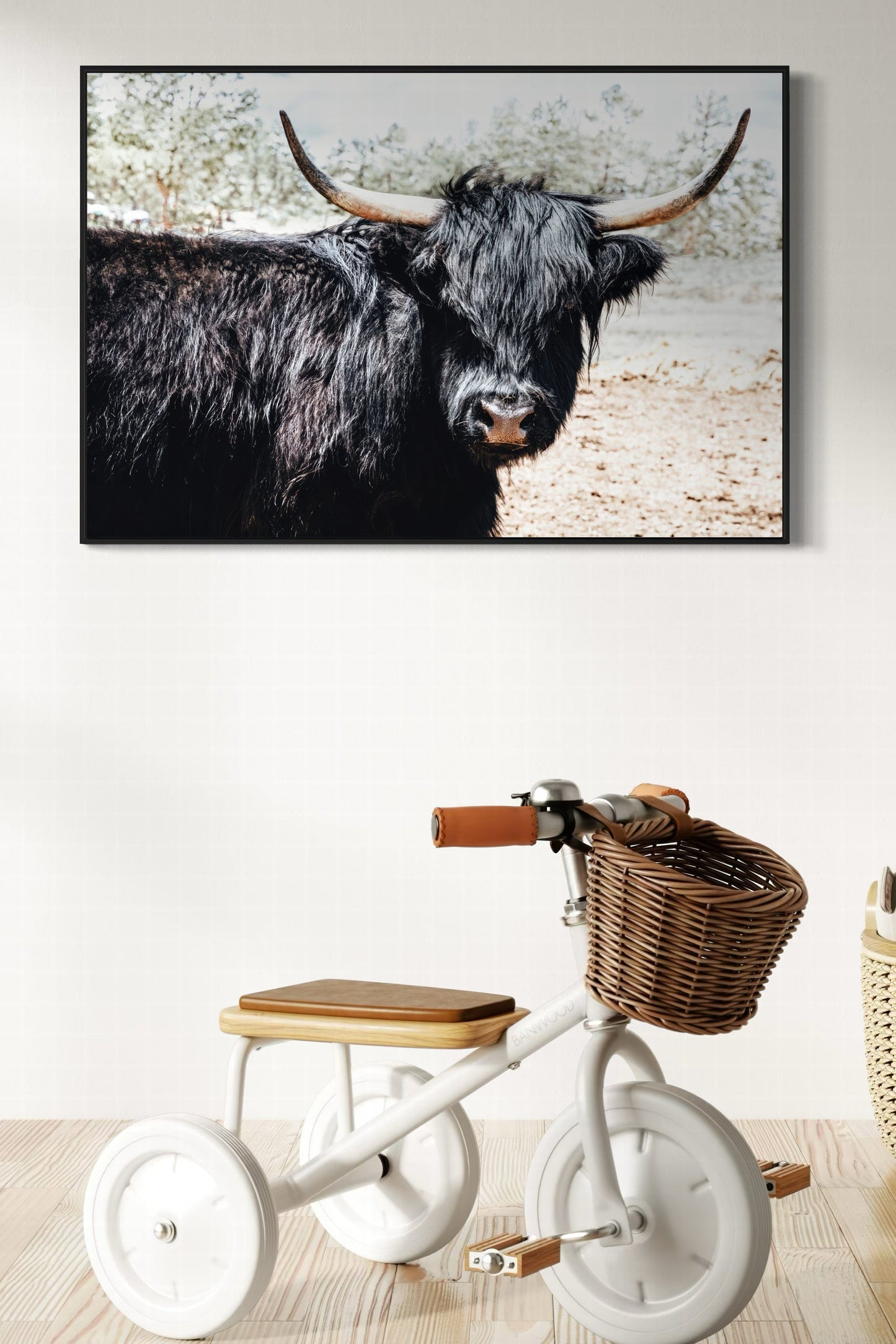 Highland Cattle Picture Wall Art Teri James Photography