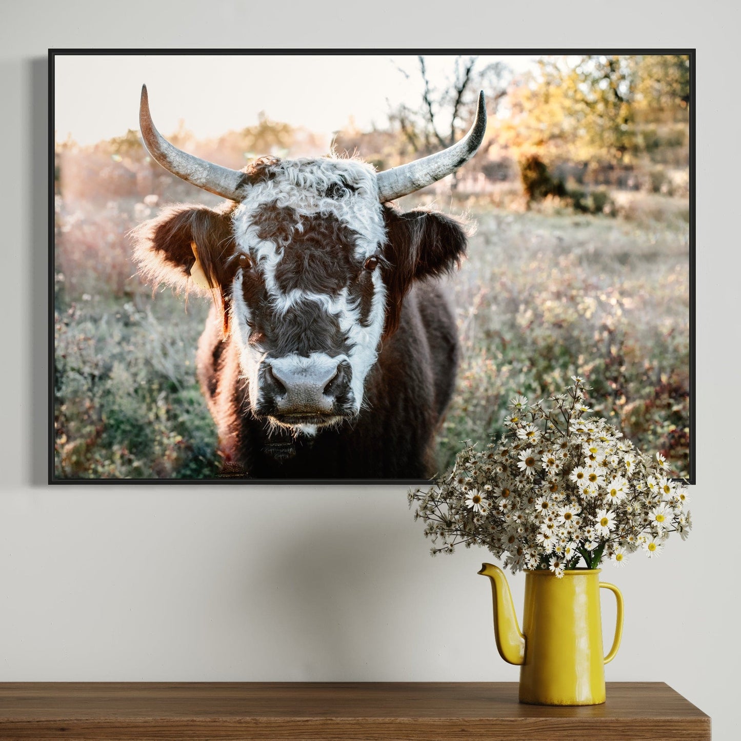 Highland Cow Canvas Print - Black and White Cow Wall Art Teri James Photography