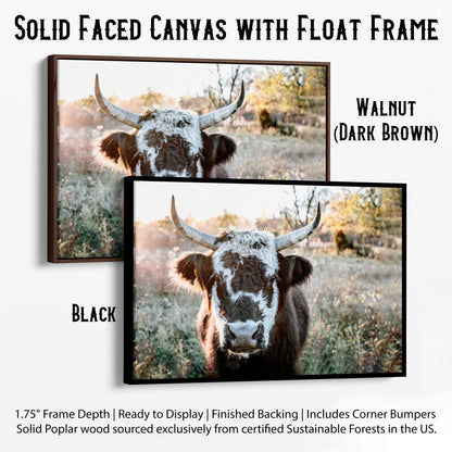 Highland Cow Canvas Print - Black and White Cow Canvas-Black Frame / 12 x 18 Inches Wall Art Teri James Photography