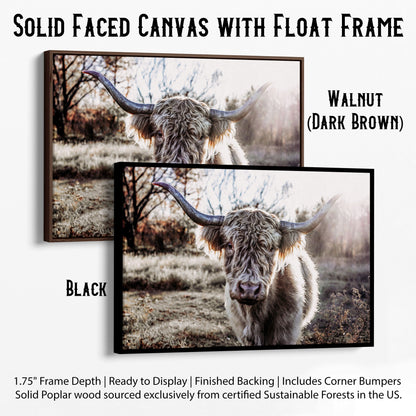 Highland Cow on Canvas Print Canvas-Black Frame / 12 x 18 Inches Wall Art Teri James Photography