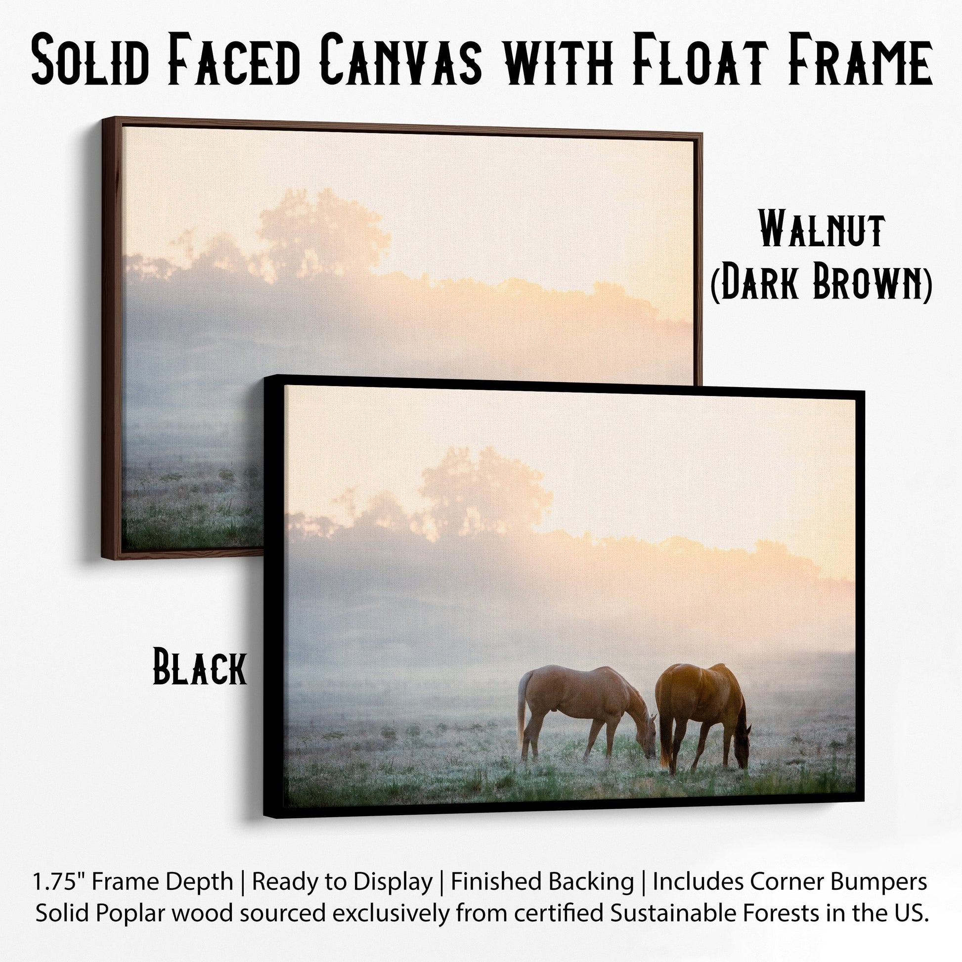 Horse Canvas Wall Art - Horses in Foggy Pasture Canvas-Black Frame / 12 x 18 Inches Wall Art Teri James Photography