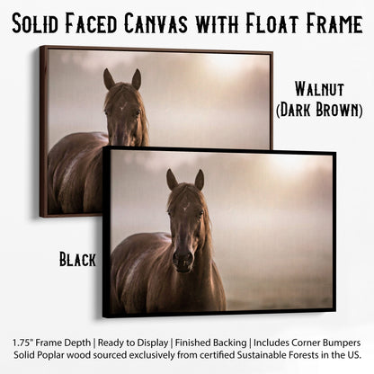 Horse Decor Canvas Print - Horse in Foggy Pasture Canvas-Black Frame / 12 x 18 Inches Wall Art Teri James Photography