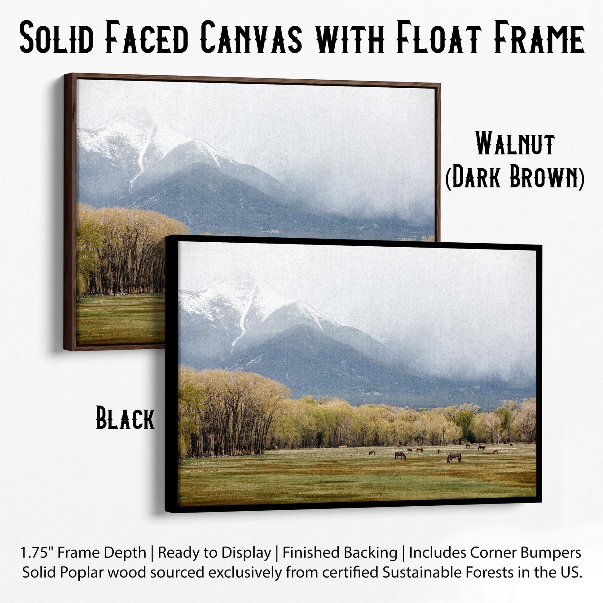 Horse Photography - Canvas Print of Horses in the Rocky Mountains Canvas-Black Frame / 12 x 18 Inches Wall Art Teri James Photography