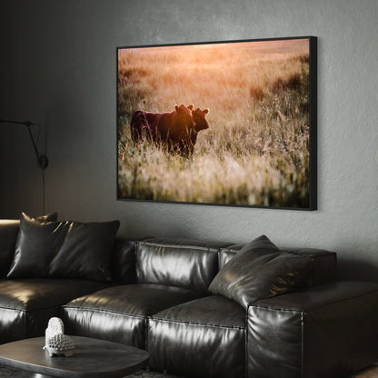 Large Black Angus Wall Art Canvas Wall Art Teri James Photography