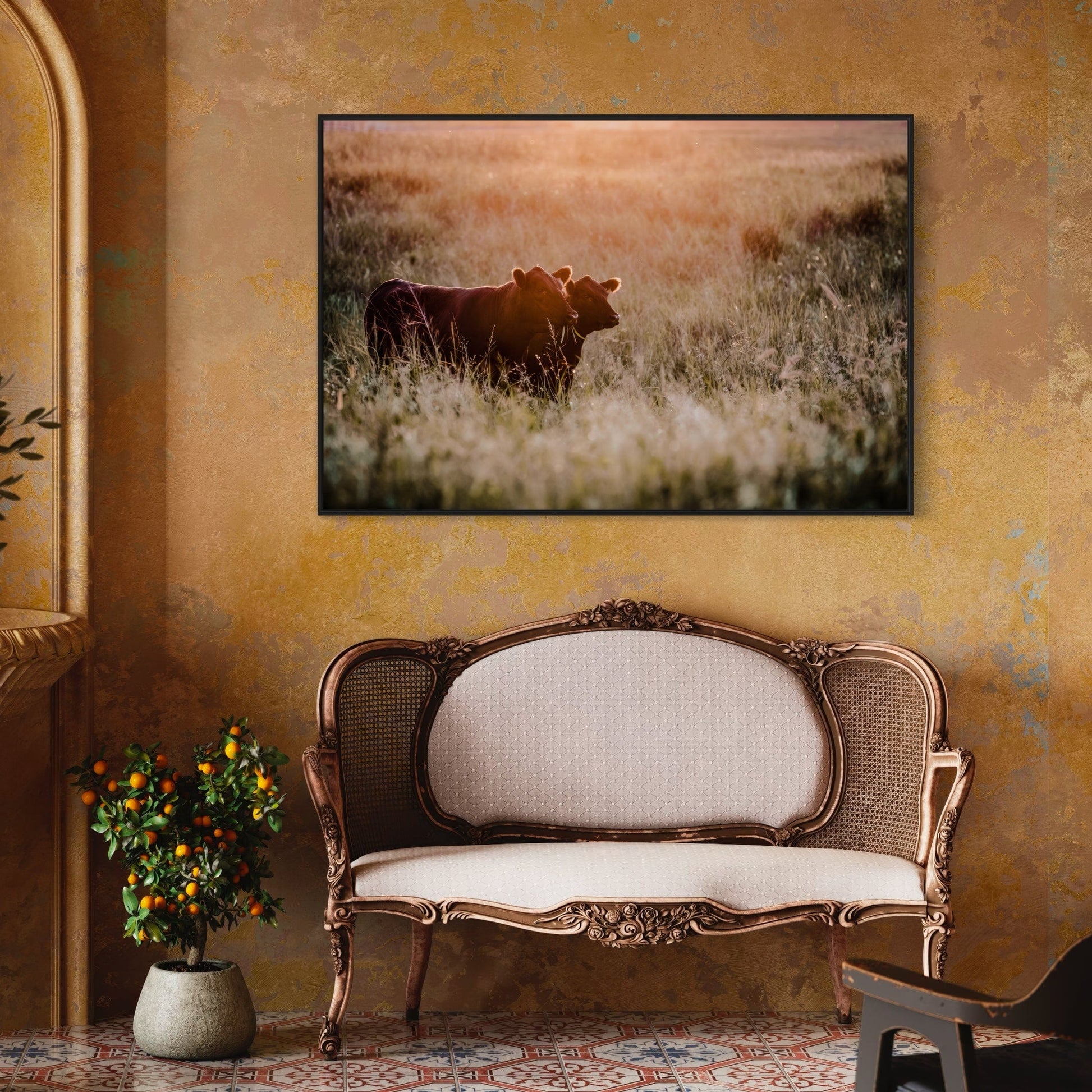 Large Black Angus Wall Art Canvas Wall Art Teri James Photography