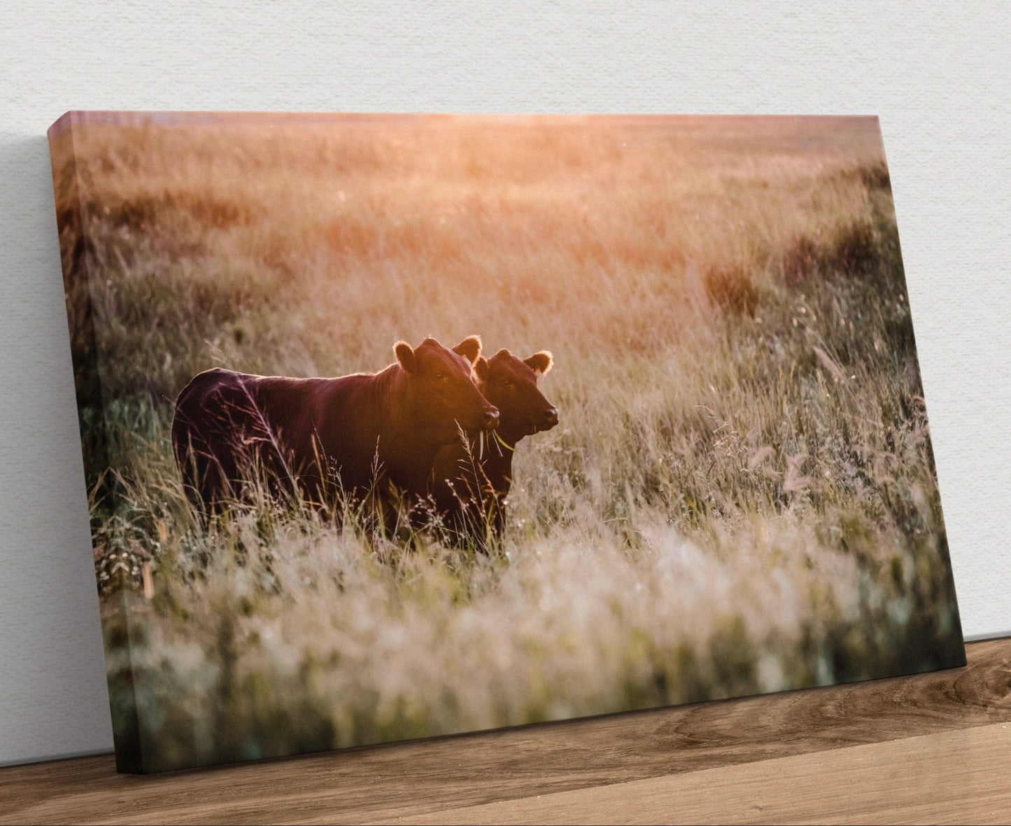 Large Black Angus Wall Art Canvas Canvas-Unframed / 12 x 18 Inches Wall Art Teri James Photography