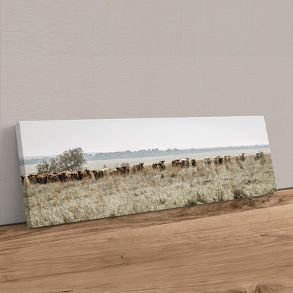 Large Panoramic Cattle Canvas Wall Art Teri James Photography