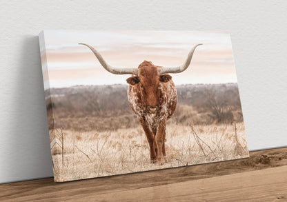 Large Texas Longhorn Wall Art Canvas-Unframed / 12 x 18 Inches Wall Art Teri James Photography