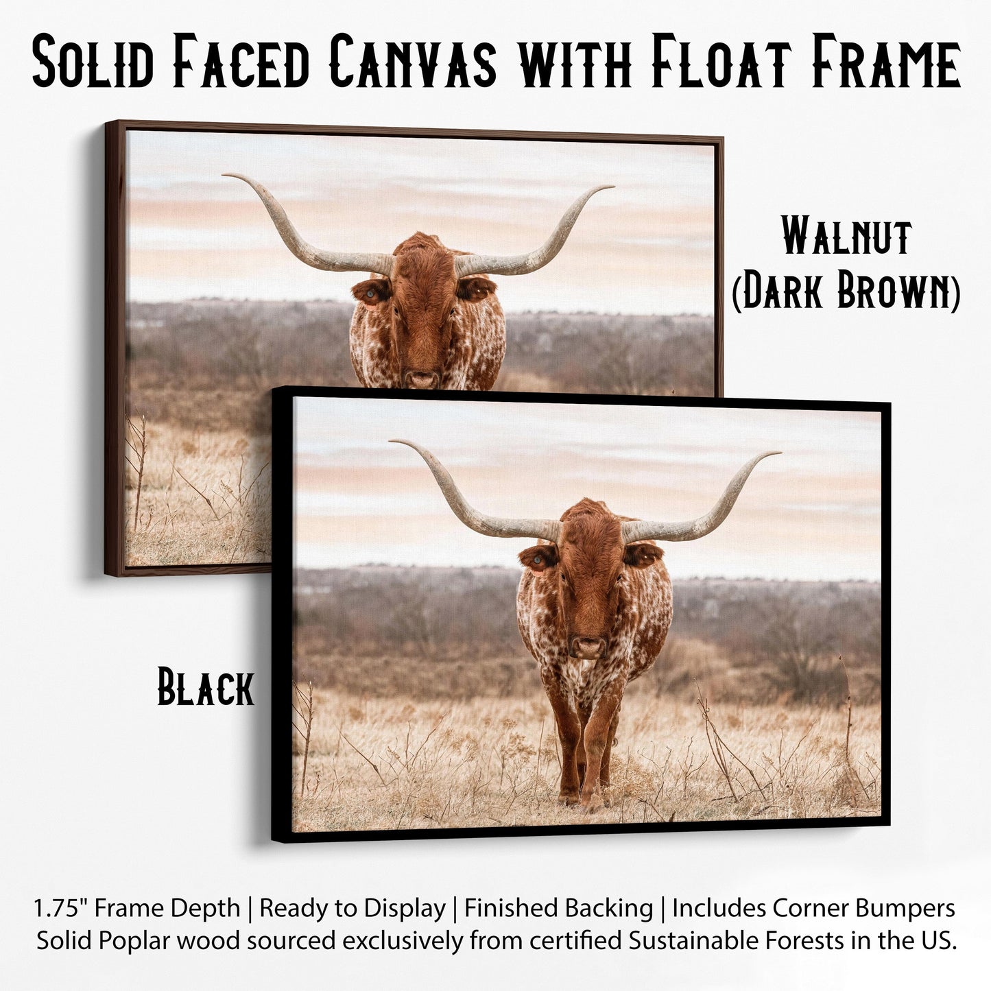 Large Texas Longhorn Wall Art Canvas-Black Frame / 12 x 18 Inches Wall Art Teri James Photography