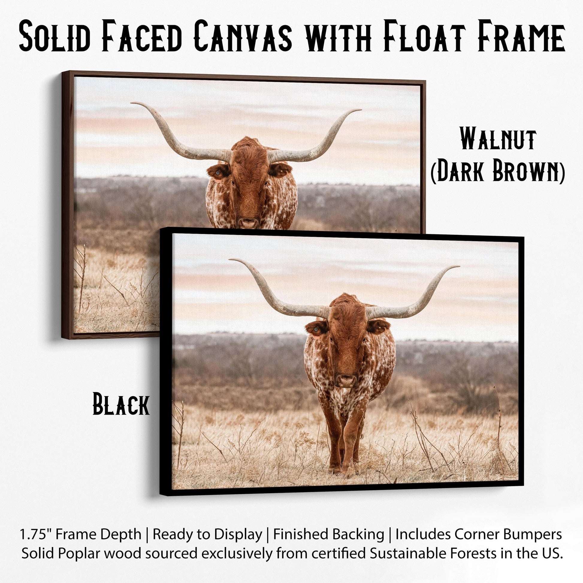 Large Texas Longhorn Wall Art Canvas-Black Frame / 12 x 18 Inches Wall Art Teri James Photography