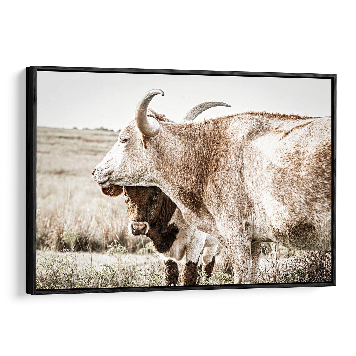 Large Western Longhorn Artwork - Texas Longhorn Cow and Calf Canvas-Black Frame / 12 x 18 Inches Wall Art Teri James Photography