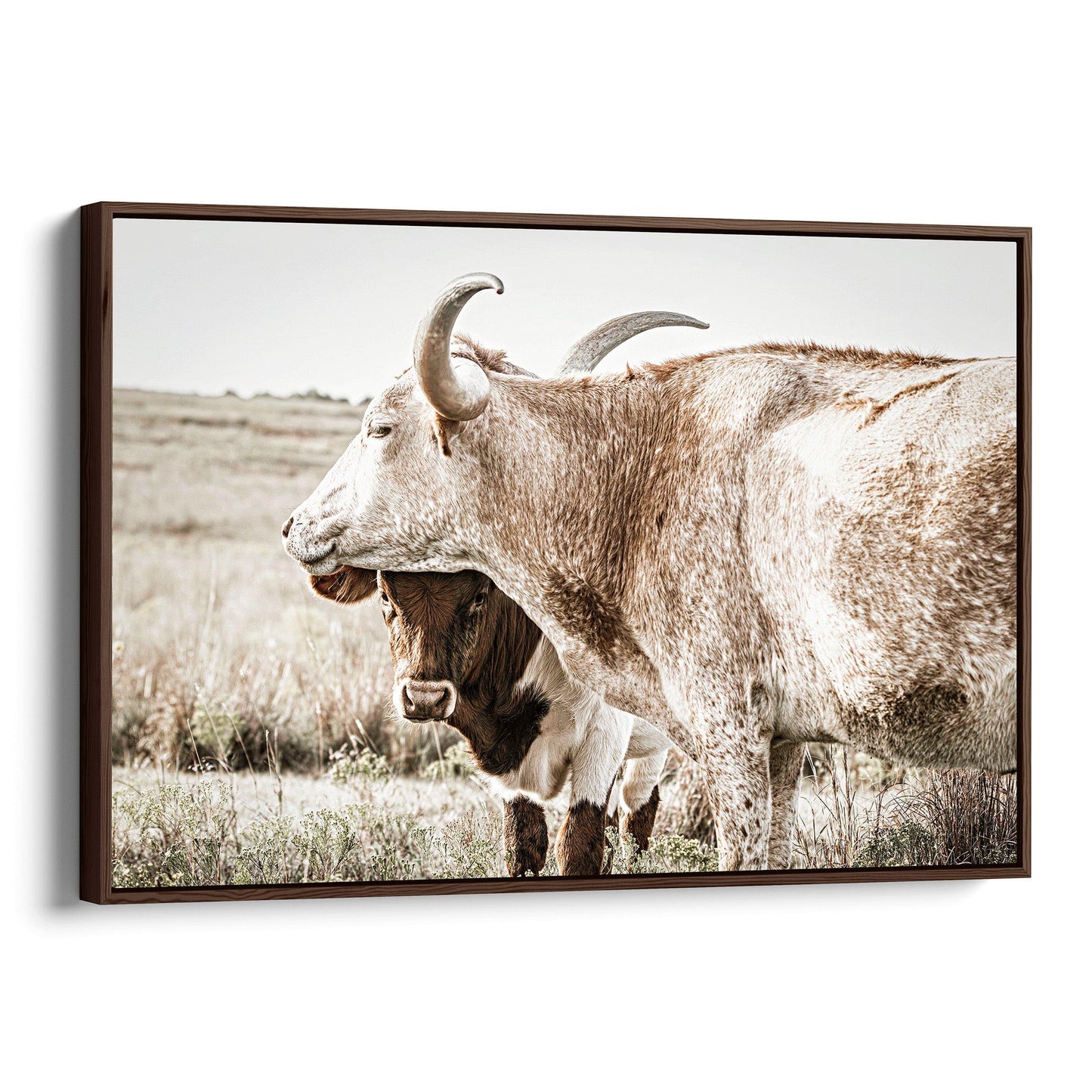 Large Western Longhorn Artwork - Texas Longhorn Cow and Calf Canvas-Walnut Frame / 12 x 18 Inches Wall Art Teri James Photography