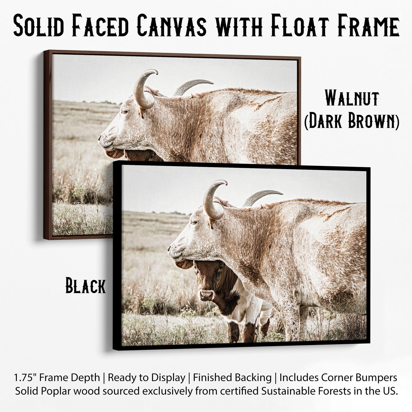 Large Western Longhorn Artwork - Texas Longhorn Cow and Calf Wall Art Teri James Photography