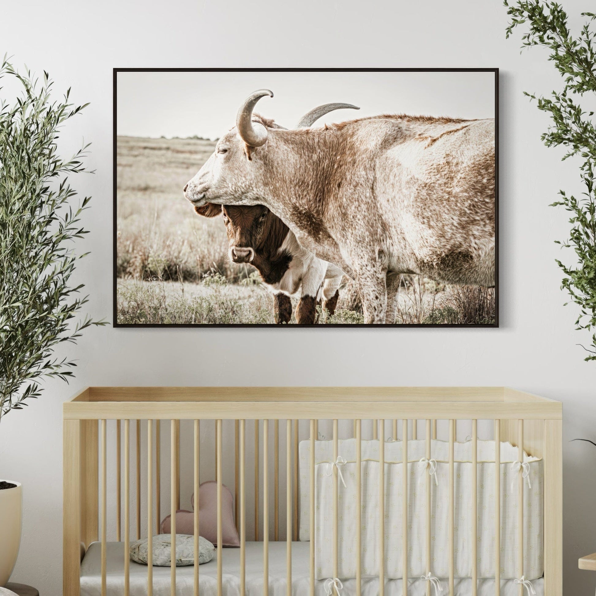 Large Western Longhorn Artwork - Texas Longhorn Cow and Calf Wall Art Teri James Photography