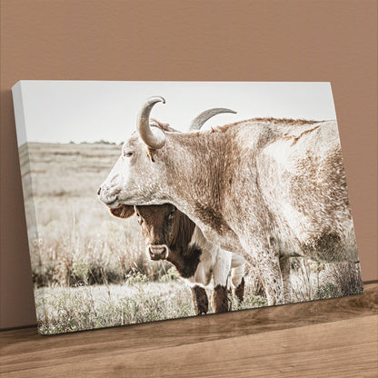 Large Western Longhorn Artwork - Texas Longhorn Cow and Calf Canvas-Unframed / 12 x 18 Inches Wall Art Teri James Photography