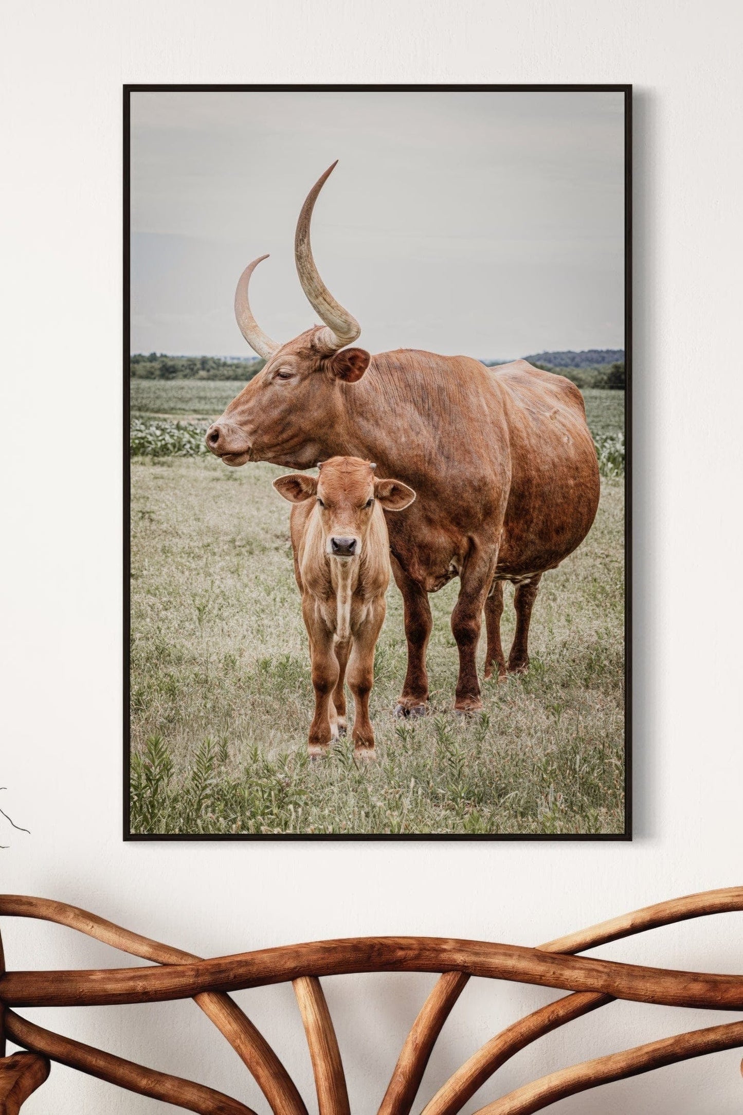 Longhorn Art Canvas Print Wall Art Teri James Photography