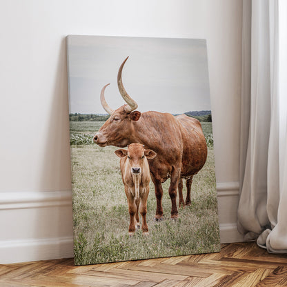 Longhorn Art Canvas Print Canvas-Unframed / 12 x 18 Inches Wall Art Teri James Photography