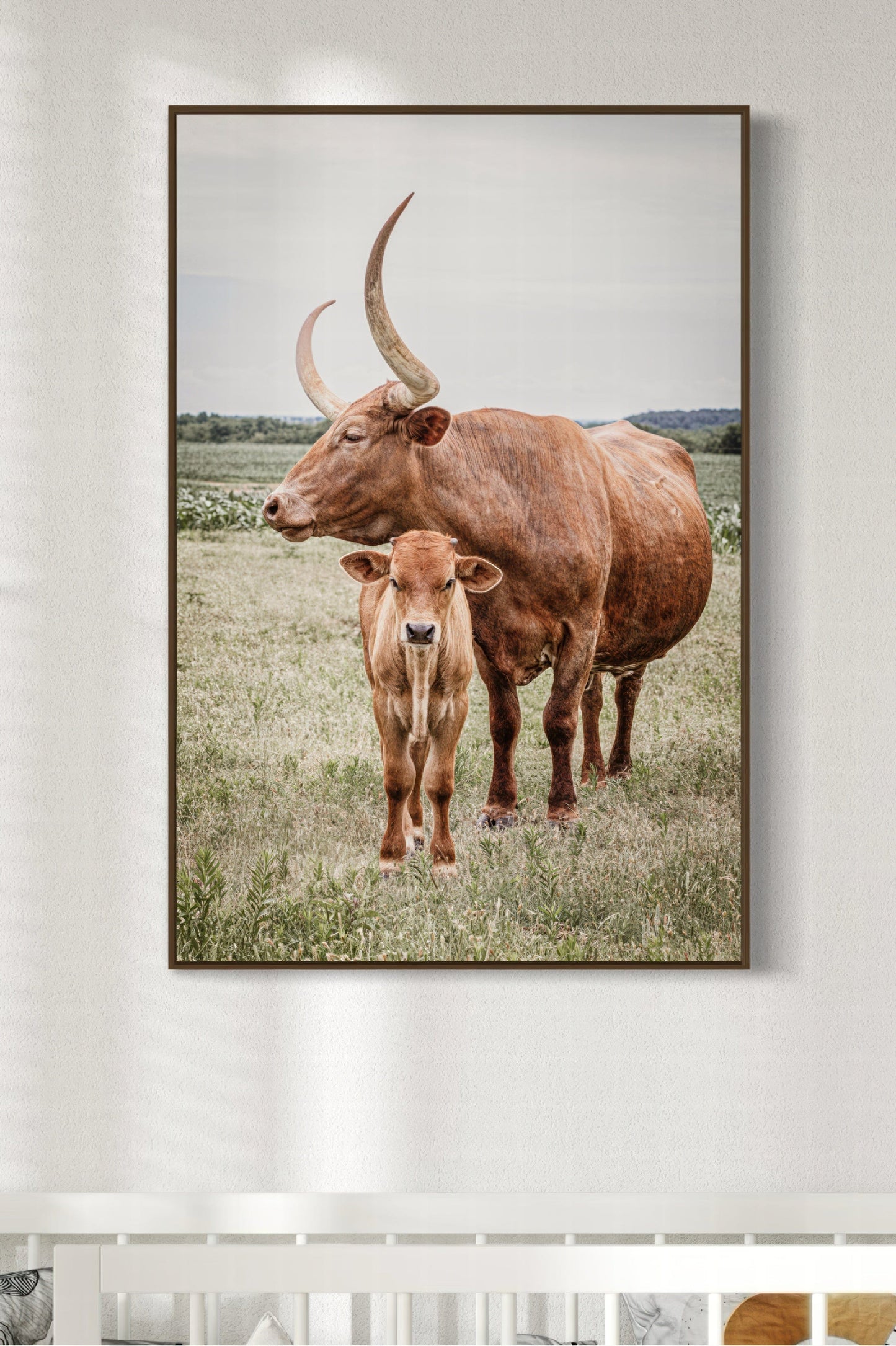 Longhorn Art Canvas Print Wall Art Teri James Photography