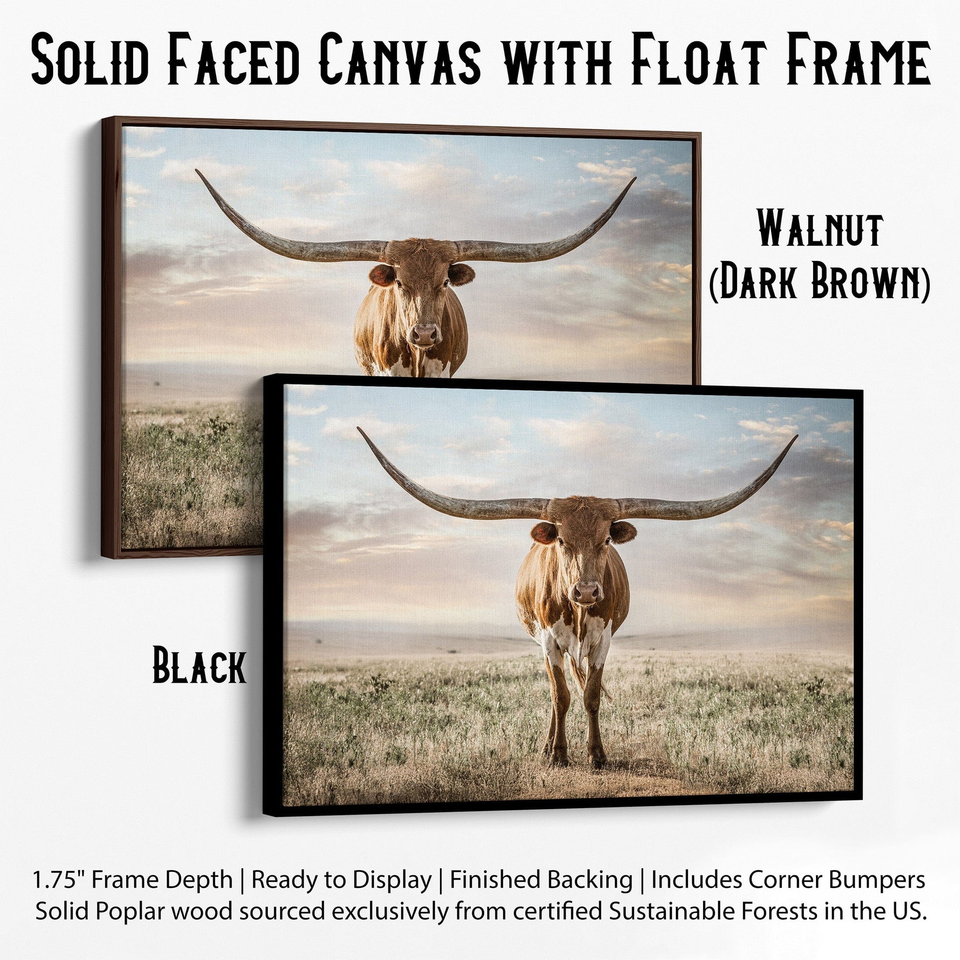 Longhorn Artwork Canvas Print Wall Art Teri James Photography