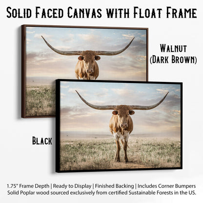 Longhorn Artwork Canvas Print Wall Art Teri James Photography