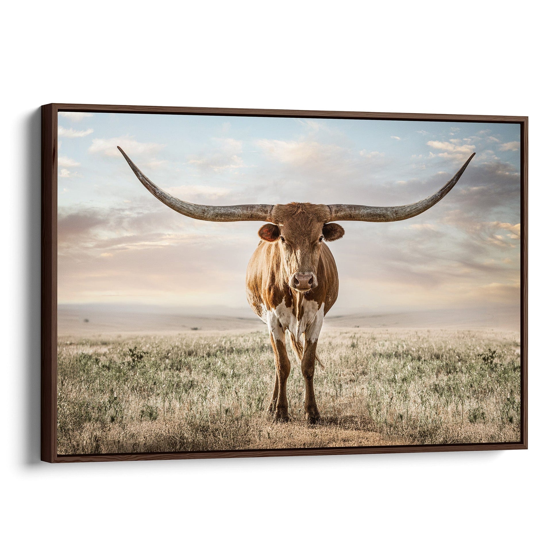 Longhorn Artwork Canvas Print Canvas-Walnut Frame / 12 x 18 Inches Wall Art Teri James Photography