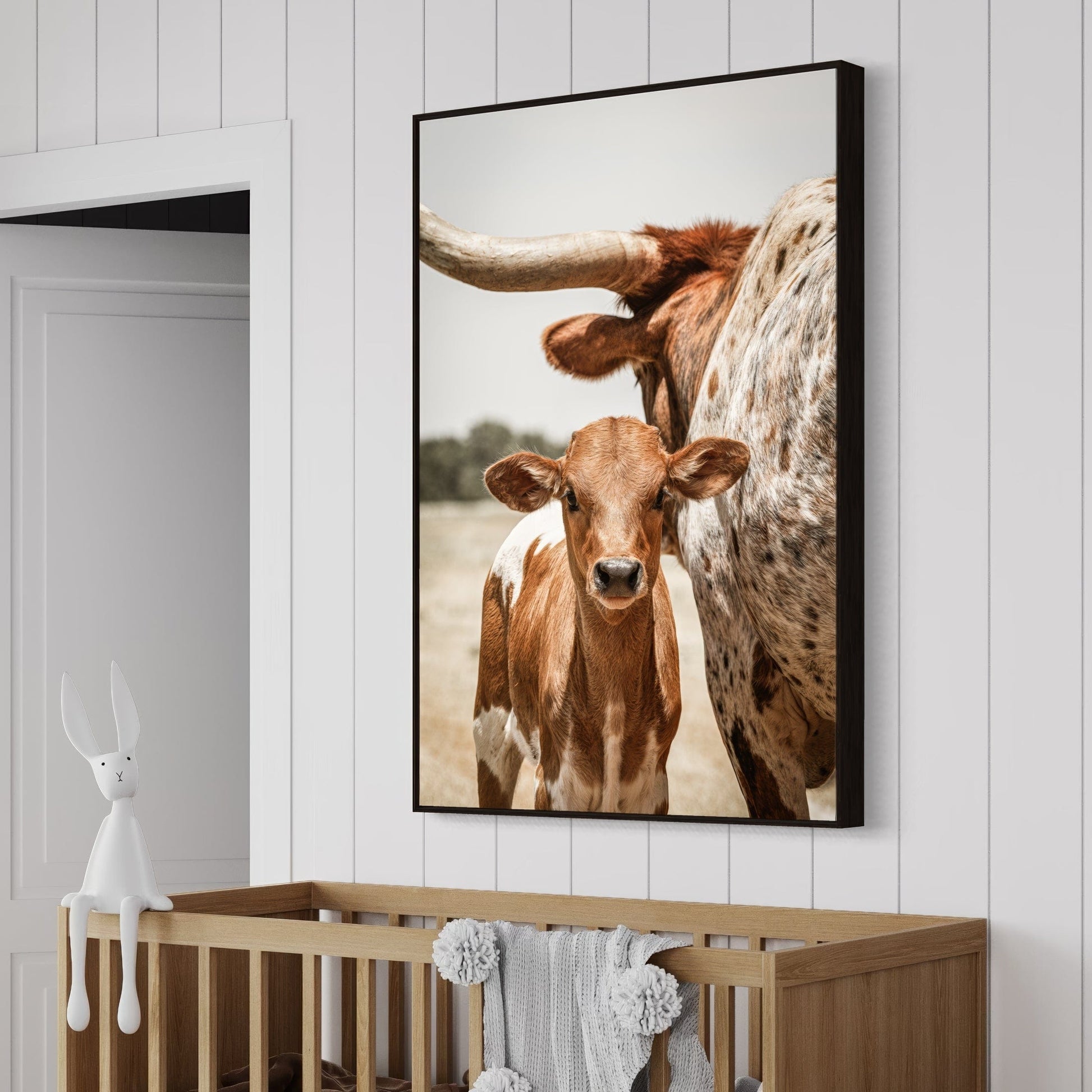 Longhorn Calf Canvas Print Wall Art Teri James Photography