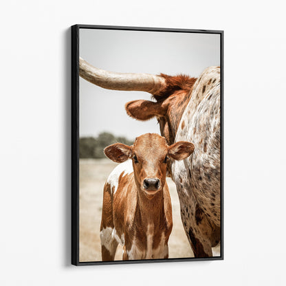 Longhorn Calf Canvas Print Canvas-Black Frame / 12 x 18 Inches Wall Art Teri James Photography