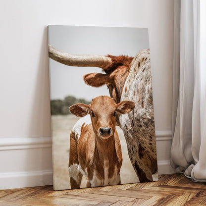 Longhorn Calf Canvas Print Canvas-Unframed / 12 x 18 Inches Wall Art Teri James Photography