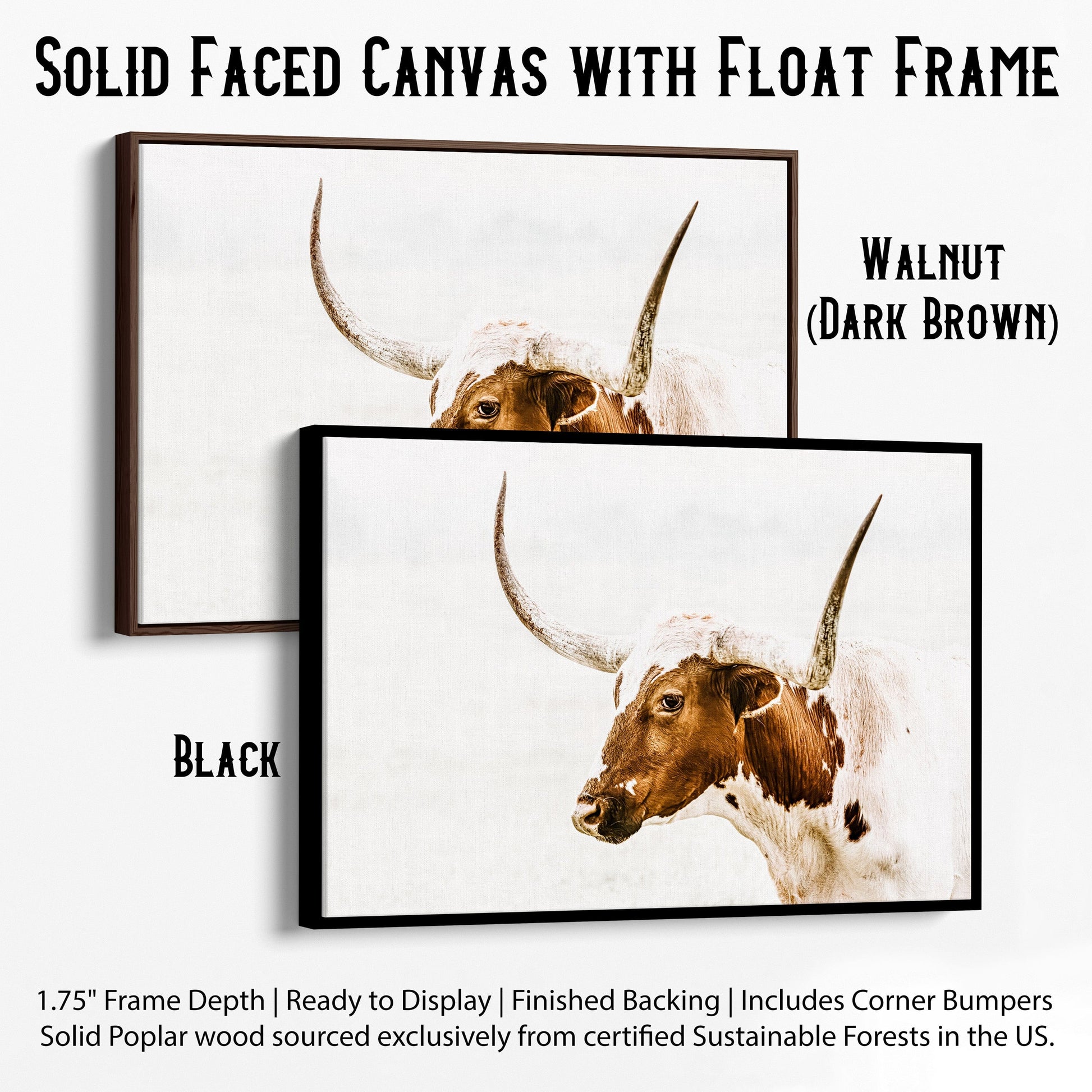 Longhorn Canvas in Sepia Browns Canvas-Black Frame / 12 x 18 Inches Wall Art Teri James Photography