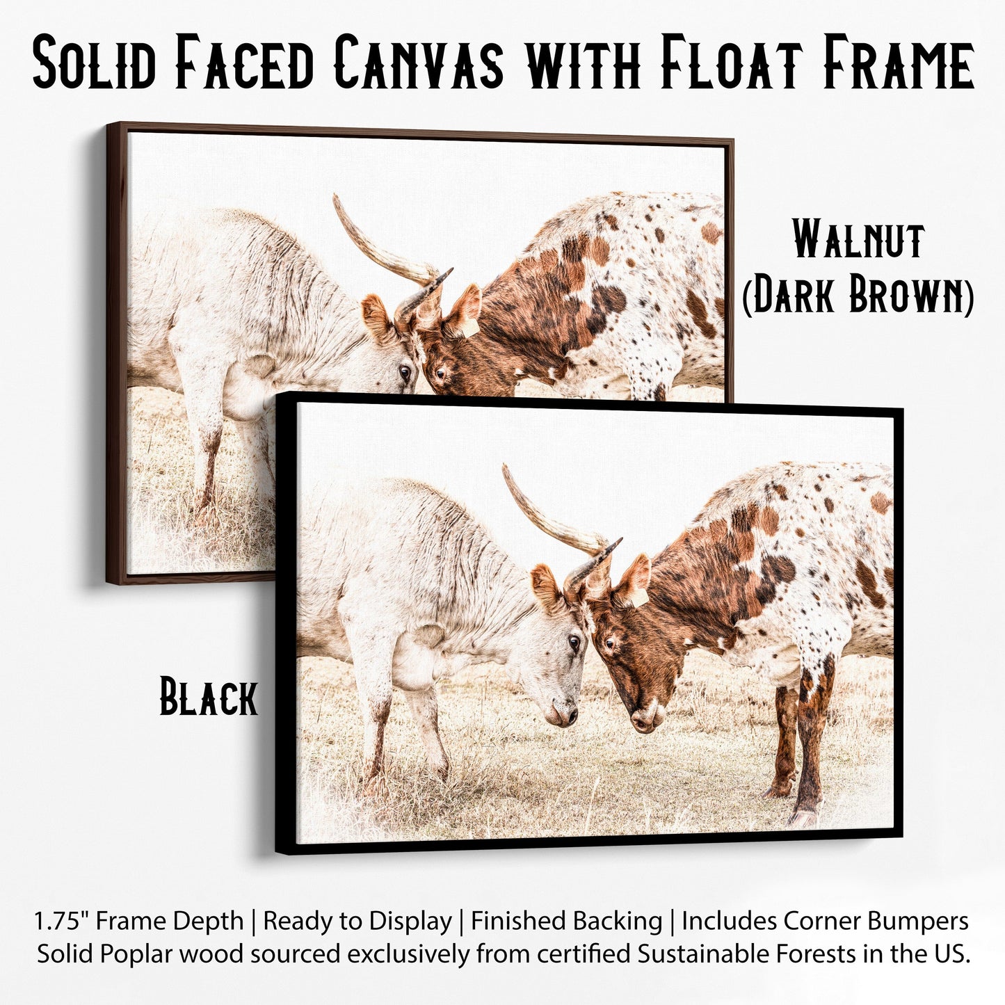 Longhorn Canvas Wall Art in Sepia Farmhouse Colors Canvas-Black Frame / 12 x 18 Inches Wall Art Teri James Photography