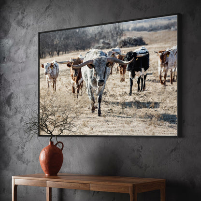 Longhorn Cattle Herd Canvas Print Wall Art Teri James Photography
