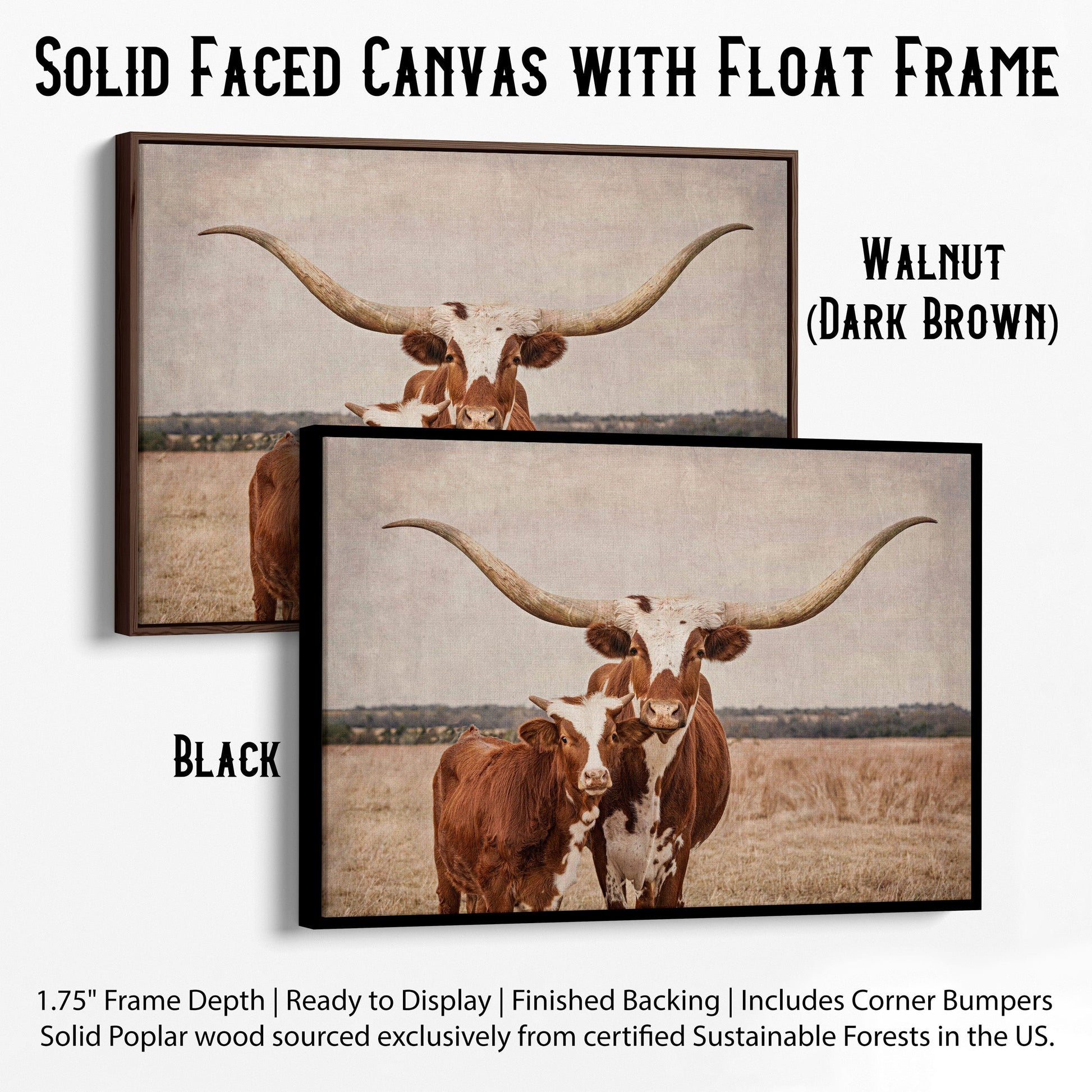 Longhorn Cow & Calf Nursery Decor Canvas-Black Frame / 12 x 18 Inches Wall Art Teri James Photography