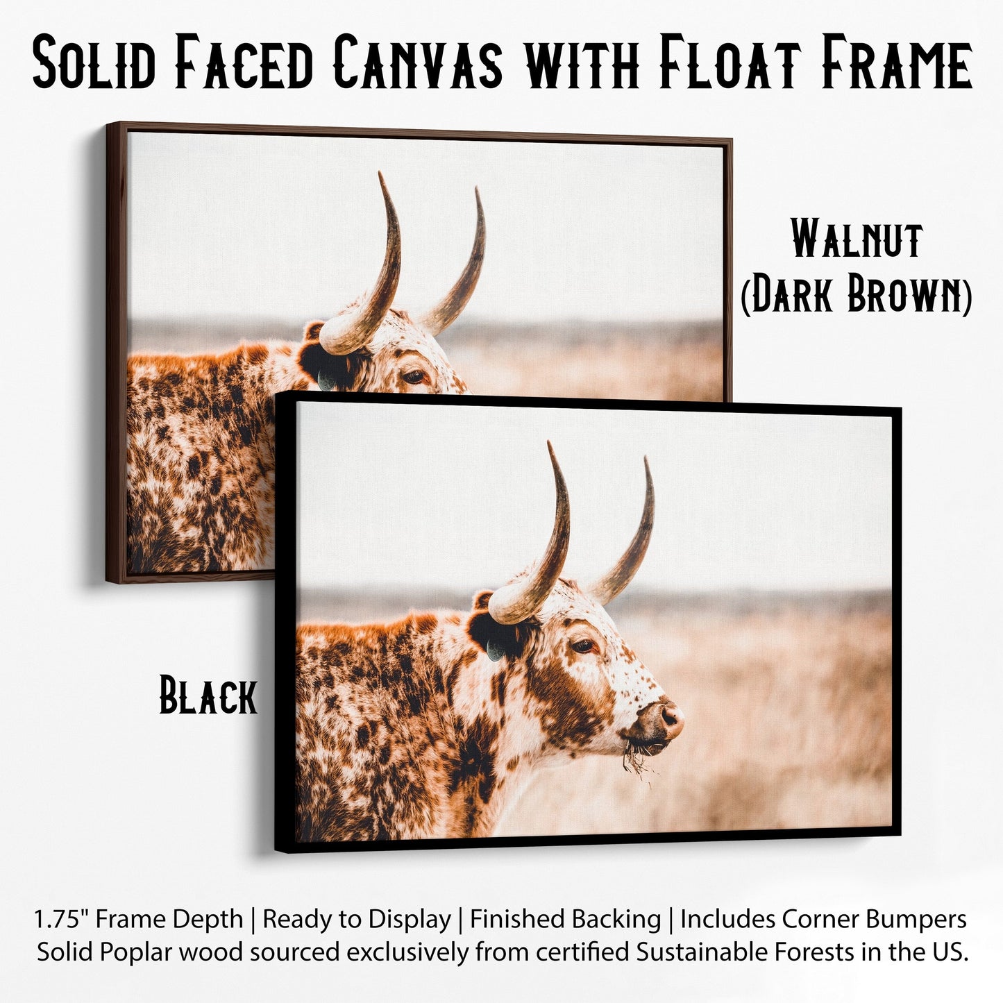 Longhorn Home Decor in Farmhouse Style Canvas-Black Frame / 12 x 18 Inches Wall Art Teri James Photography