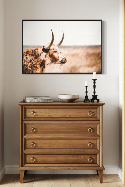 Longhorn Home Decor in Farmhouse Style Wall Art Teri James Photography