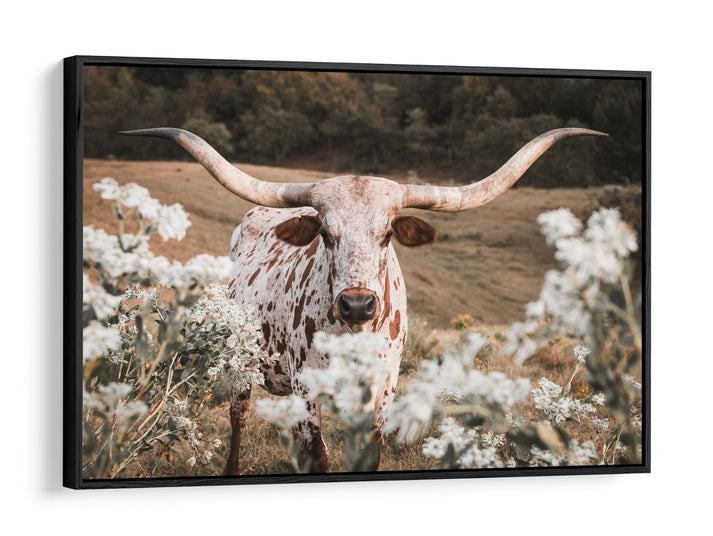 Longhorn in Flowers Wall Art - Teri James Photography