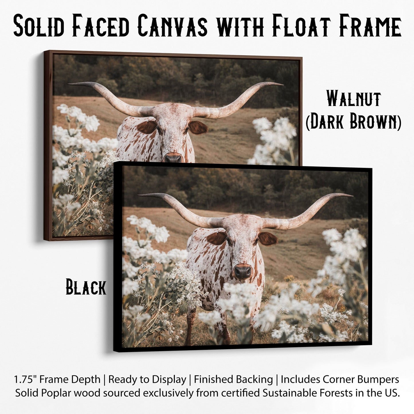 Longhorn in Flowers Wall Art Canvas-Black Frame / 12 x 18 Inches Wall Art Teri James Photography