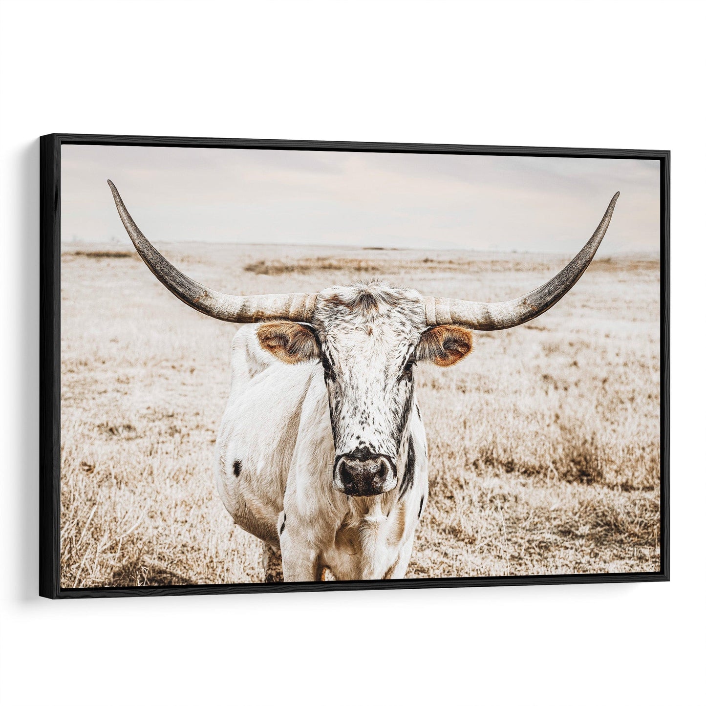 Longhorn Photography Canvas Print Canvas-Black Frame / 12 x 18 Inches Wall Art Teri James Photography