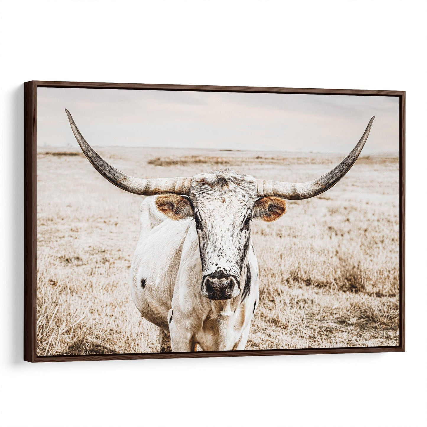 Longhorn Photography Canvas Print Canvas-Walnut Frame / 12 x 18 Inches Wall Art Teri James Photography