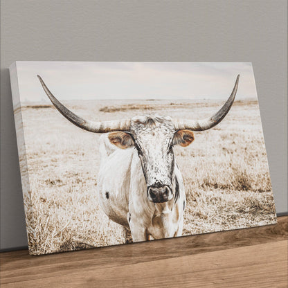 Longhorn Photography Canvas Print Canvas-Unframed / 12 x 18 Inches Wall Art Teri James Photography