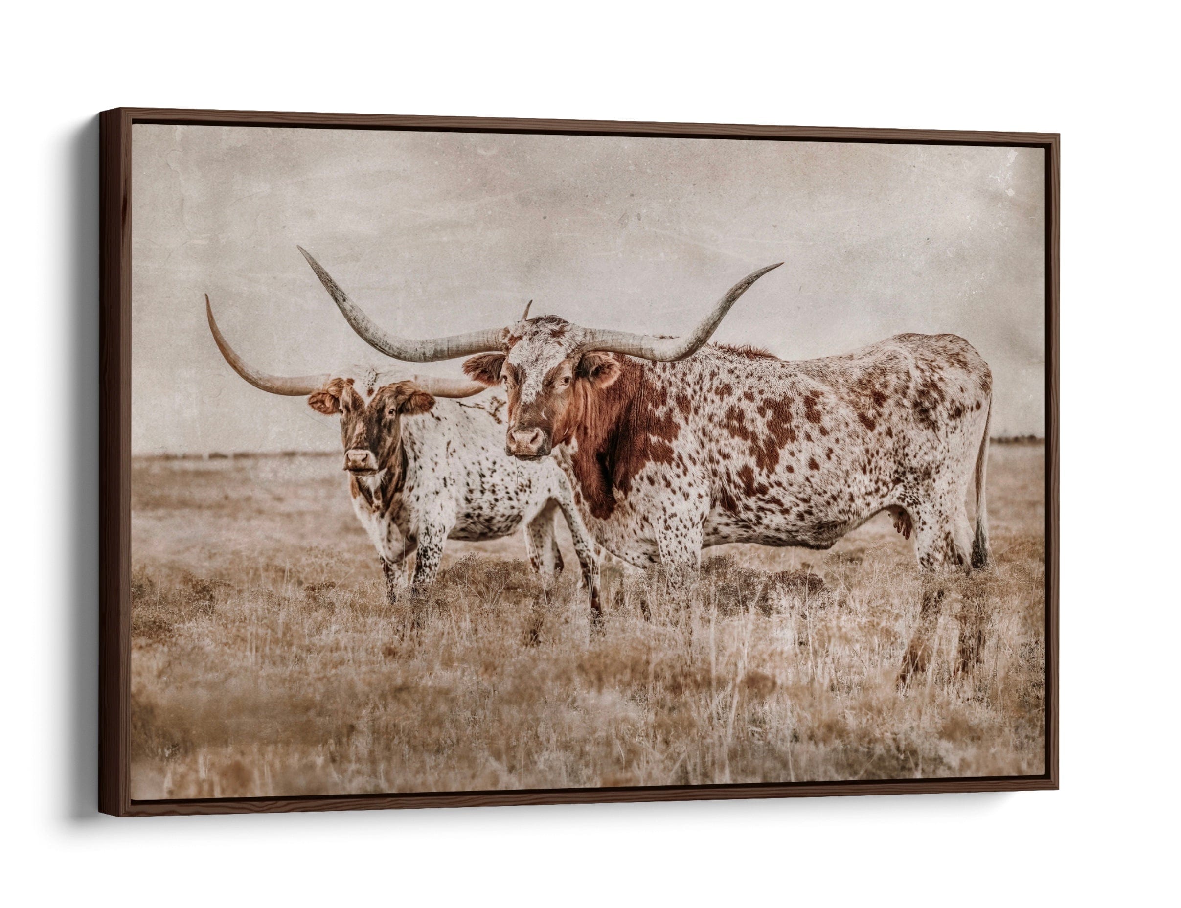 Longhorn Wall Art Textured - Teri James Photography