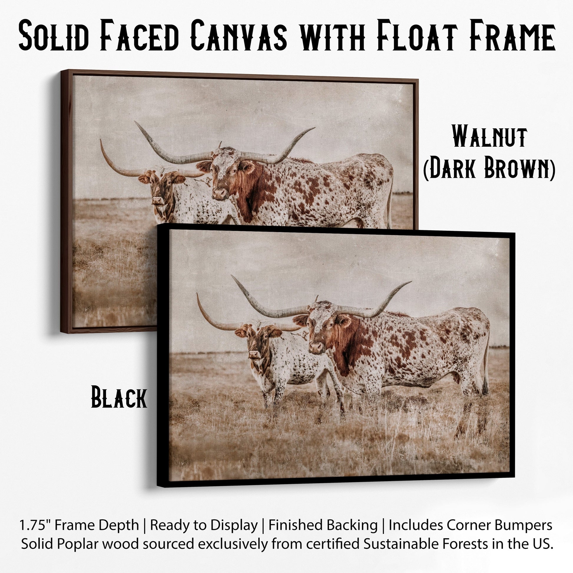 Longhorn Wall Art Textured Canvas-Black Frame / 12 x 18 Inches Wall Art Teri James Photography