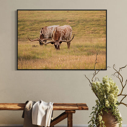 Longhorn Western Artwork - Texas Longhorn Cows Wall Art Teri James Photography