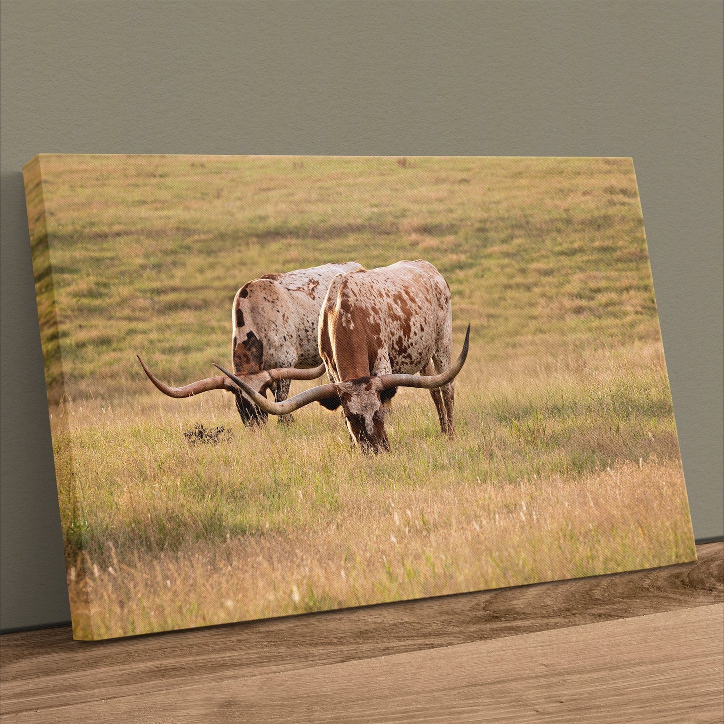 Longhorn Western Artwork - Texas Longhorn Cows Canvas-Unframed / 12 x 18 Inches Wall Art Teri James Photography