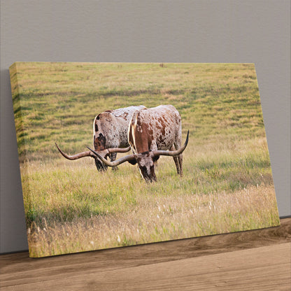 Longhorn Western Artwork - Texas Longhorn Cows Canvas-Unframed / 12 x 18 Inches Wall Art Teri James Photography