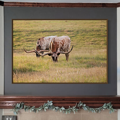 Longhorn Western Artwork - Texas Longhorn Cows Wall Art Teri James Photography