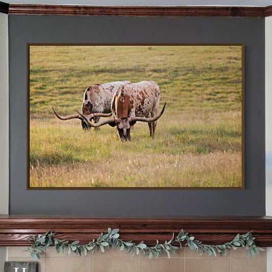 Longhorn Western Artwork - Texas Longhorn Cows Wall Art Teri James Photography