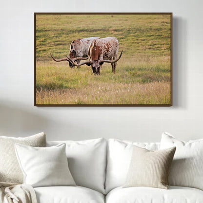 Longhorn Western Artwork - Texas Longhorn Cows Wall Art Teri James Photography